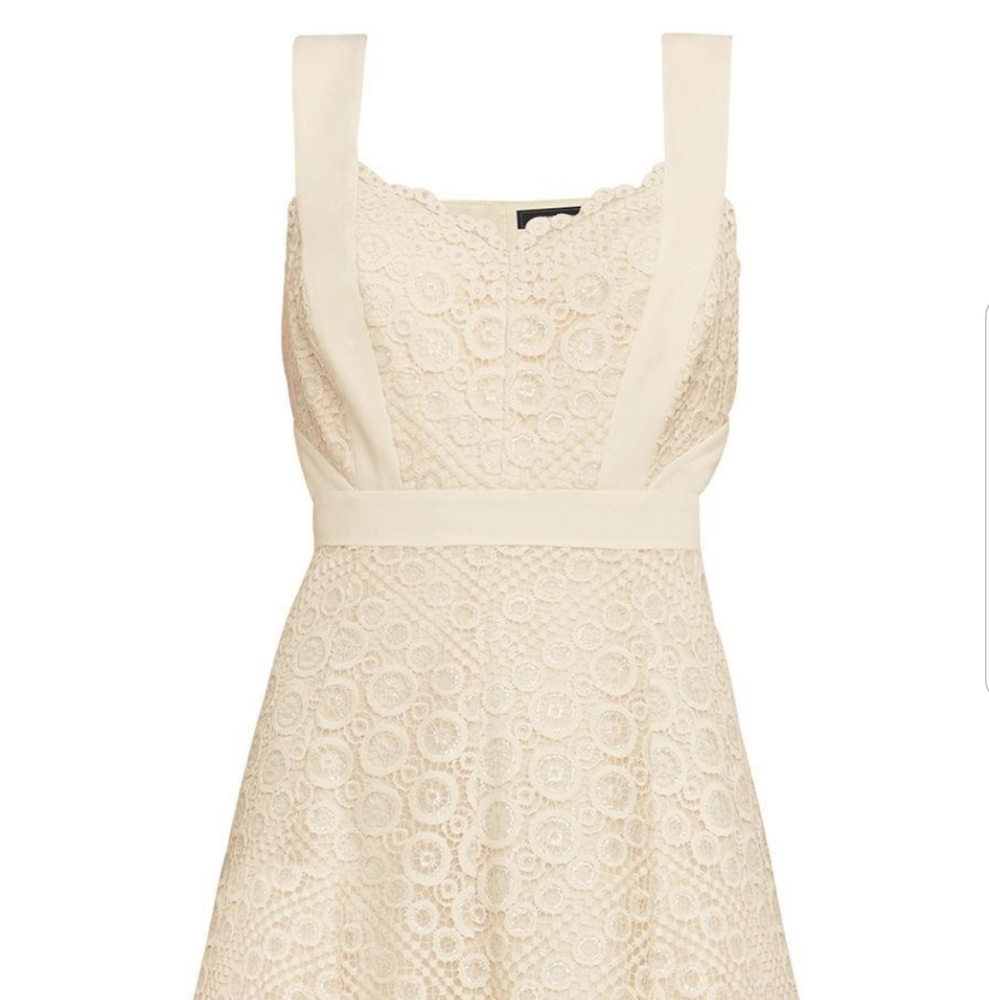 NWT BCBG beige and silver dress